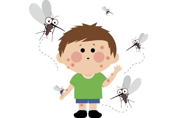 蚊子,防蚊,消灭蚊虫